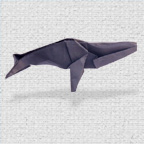 Origami Whale